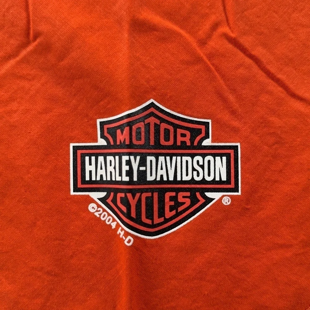Y2K 04 VTG Harley-Davidson Spider and Web Bandana